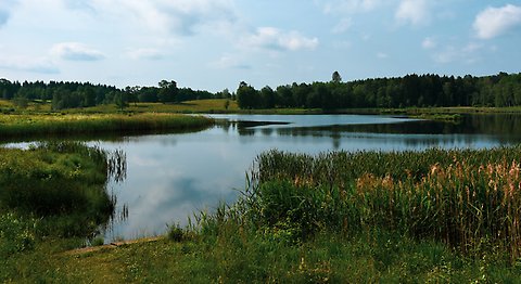 Kommun Och Politik - Herrljunga Kommun